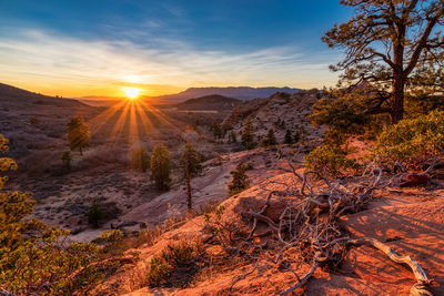 Scenic view of landscape against sky during sunset