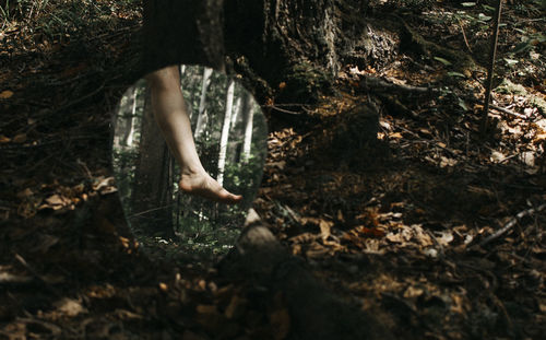 Low section of person in forest
