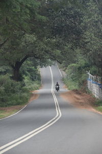 Car on road by trees