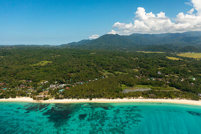 Aerial view of sandy beach with palm trees and sea. pagudpud, ilocos norte, philippines.