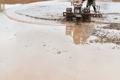 Reflection in puddle on road