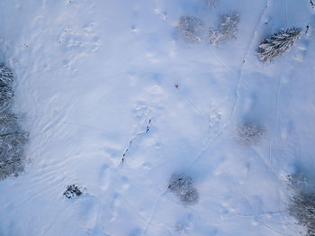 High angle view of snow covered field