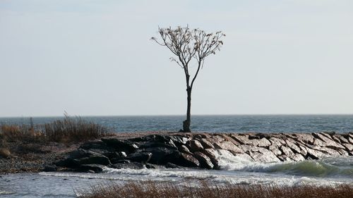 Scenic view of sea against clear sky