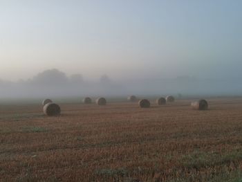 Hay bales on field against sky