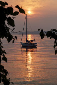 Silhouette sailboats in sea against sky during sunset