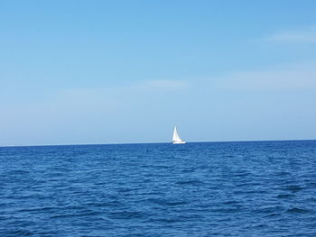 Sailboat sailing in sea against clear sky