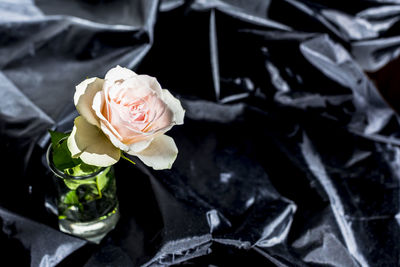 Close-up of rose bouquet