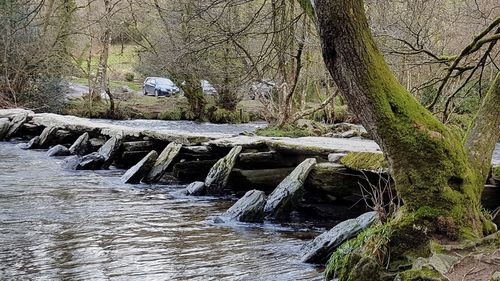 Scenic view of river in forest during winter