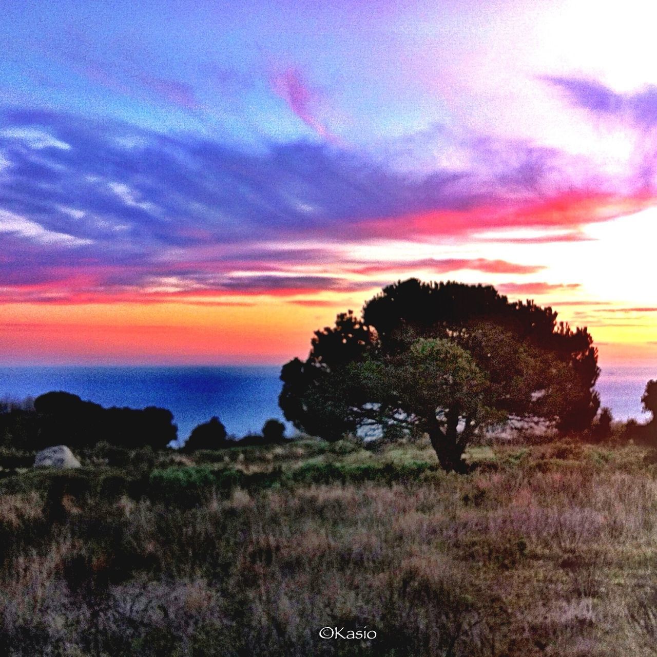 sky, sunset, tranquil scene, scenics, tranquility, beauty in nature, sea, cloud - sky, horizon over water, water, nature, grass, idyllic, cloud, landscape, plant, tree, orange color, cloudy, growth