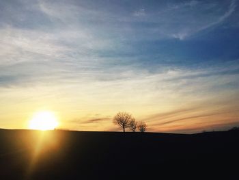 Silhouette of trees at sunset