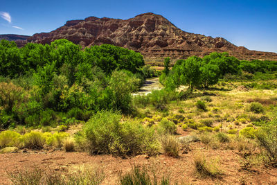 Scenic view of mountains against clear sky