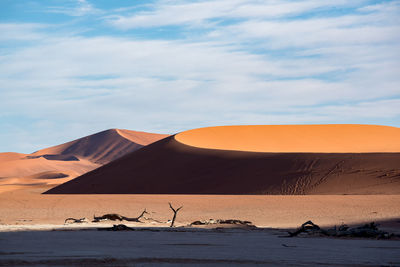 This is wild namibia.