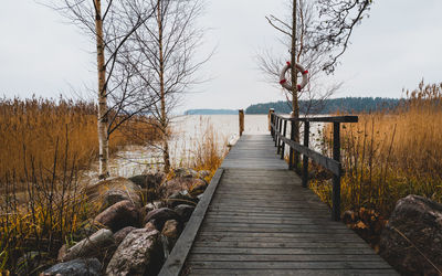 Wooden boardwalk amidst plants and trees against sky