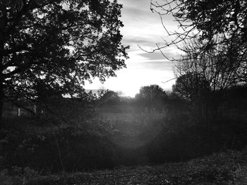 Scenic view of forest against cloudy sky