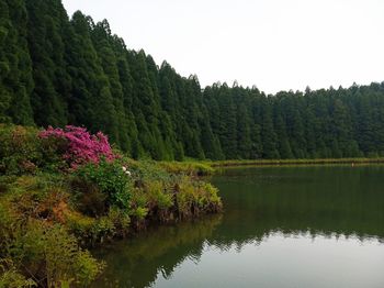 Scenic view of lake against sky