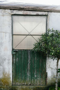 Close-up of old weathered building