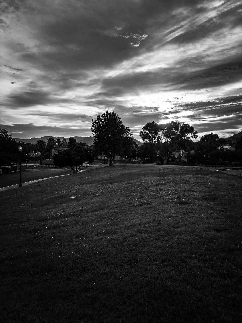 VIEW OF TREES ON FIELD AGAINST SKY