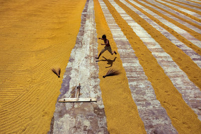 High angle view of zebra crossing on road