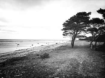 Scenic view of beach against sky