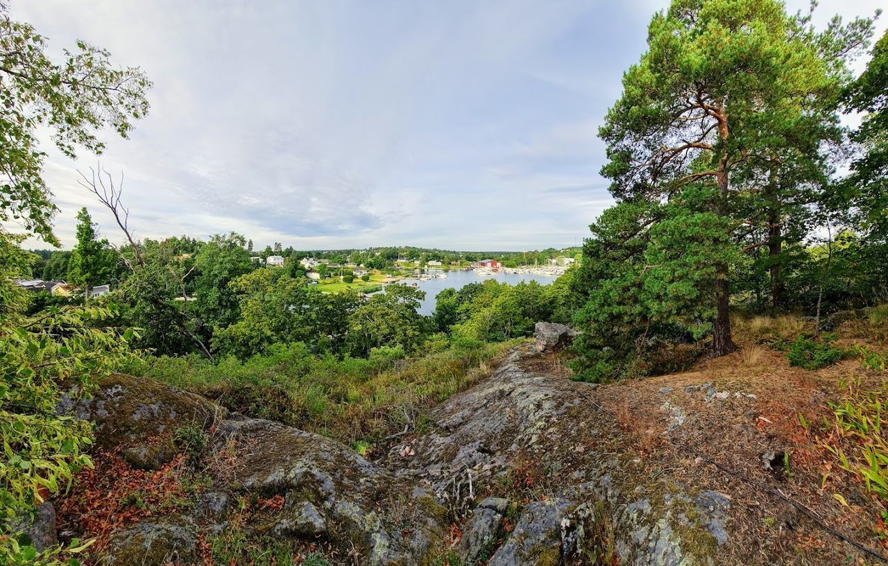 plant, tree, sky, nature, forest, beauty in nature, environment, land, landscape, scenics - nature, cloud, wilderness, growth, no people, tranquility, natural environment, leaf, autumn, green, vegetation, woodland, hill, day, non-urban scene, tranquil scene, rural area, flower, outdoors, water, rock, travel, travel destinations, trail, ridge, pinaceae, jungle, tourism