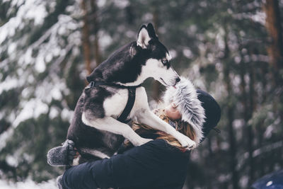 Close-up of dog with arms raised on tree