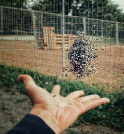 Cropped hand throwing stones