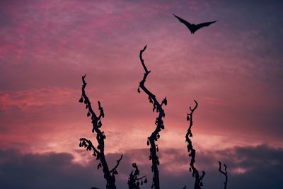 Low angle view of silhouette birds flying against sky