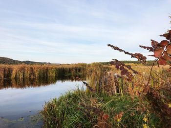 Scenic view of lake against sky