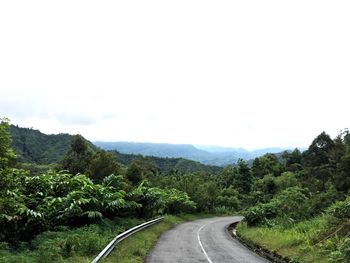 Road amidst trees against sky