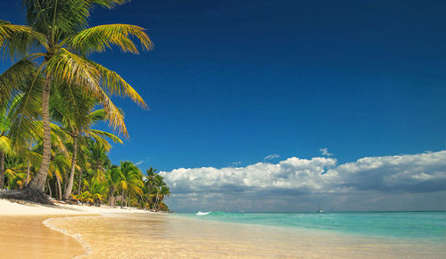 Scenic view of beach against blue sky