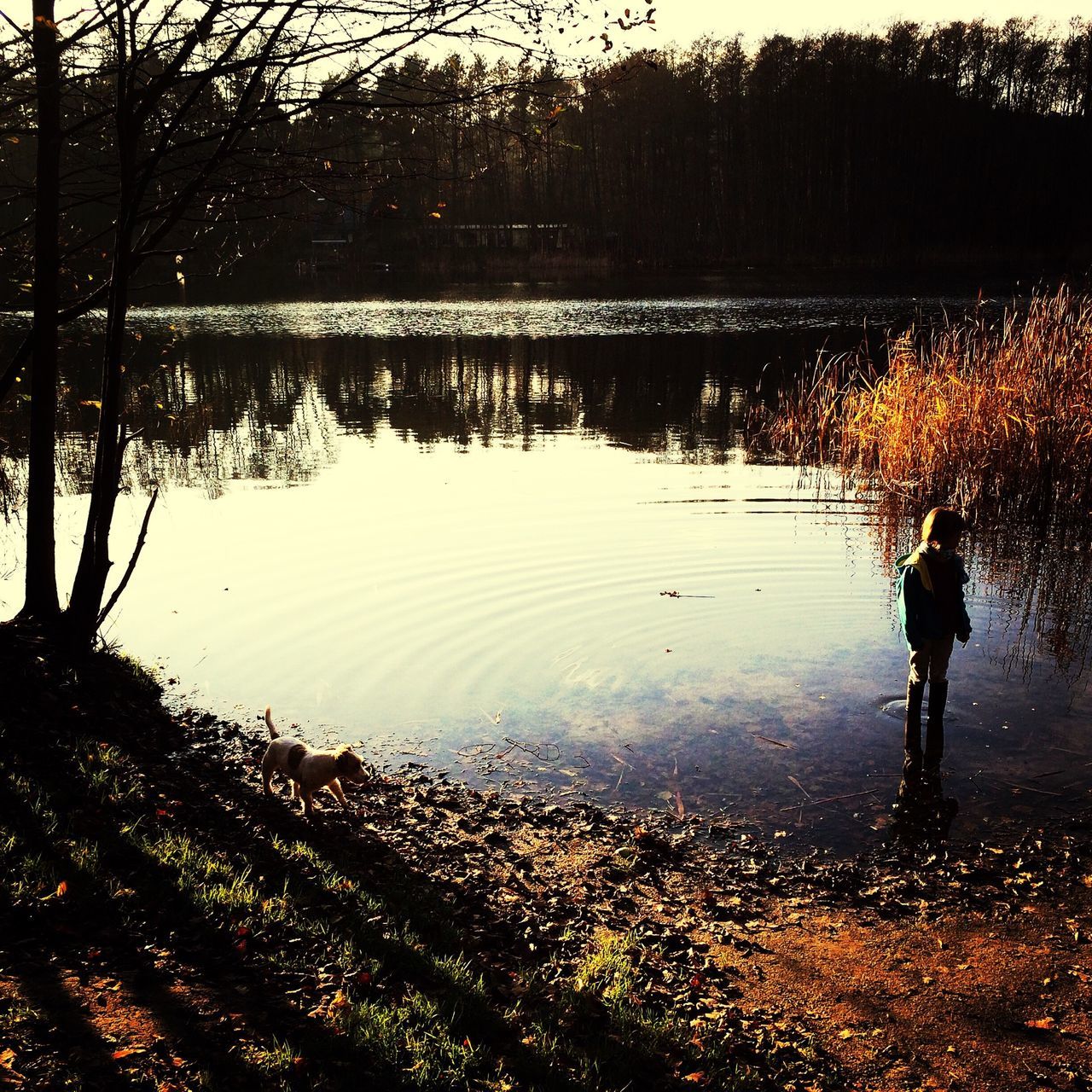 water, reflection, tree, lake, nature, lifestyles, tranquility, leisure activity, outdoors, silhouette, illuminated, river, beauty in nature, standing, scenics, pond, puddle, sunset