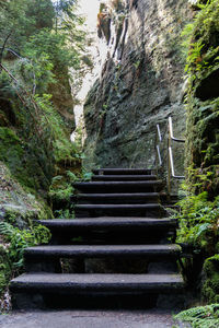 Low angle view of staircase amidst trees in forest