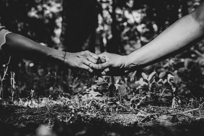 Cropped image of people holding hands outdoors