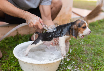 Midsection of man giving dog shower