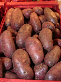 Close-up of onions for sale at market stall