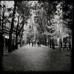 People walking on road