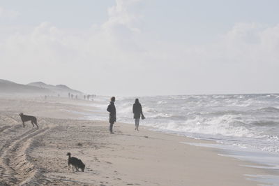 Group of people on beach