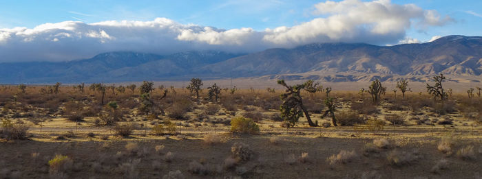 Scenic view of  california desert against sky