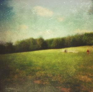 Grassy field against cloudy sky