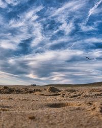 View of bird flying over land