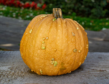 Close-up of pumpkin on table