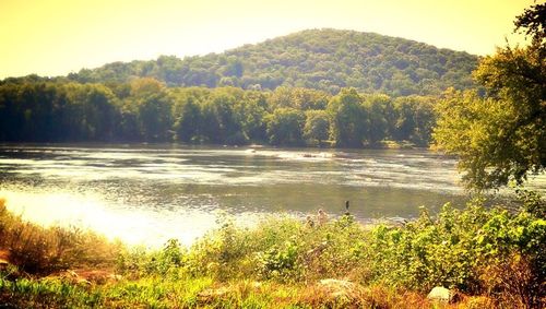 Scenic view of lake with trees in background