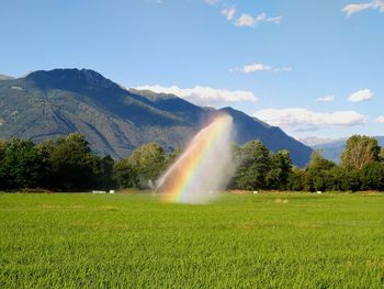 Rainbow in the spray from a farm irrigation rig in a field with mountains in the background