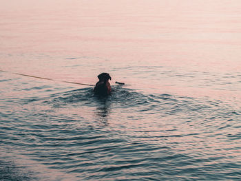 Man in sea against sky during sunset
