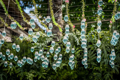 Close-up of objects with water inside 