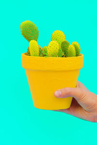 Close-up of hand holding potted plant against blue background