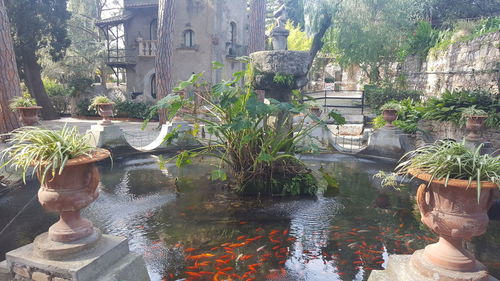 Fountain in pond by building