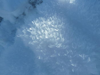 Close-up of ice against sky