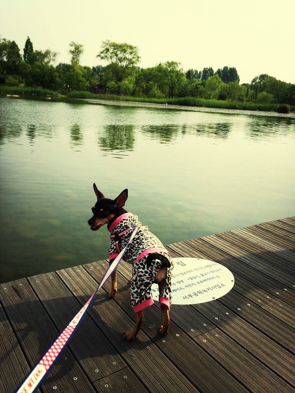 water, lifestyles, leisure activity, lake, river, high angle view, sitting, tree, standing, outdoors, childhood, day, full length, red, nature, casual clothing, riverbank, transportation