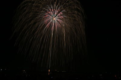 Low angle view of firework display at night